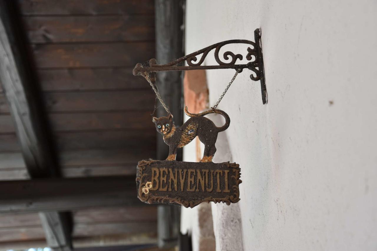 B&B La Dolce Vita Priocca Екстериор снимка